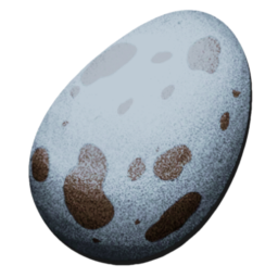 Hesperornis Egg