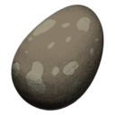 Allosaurus Egg