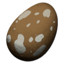 Compy Egg