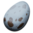 Hesperornis Egg